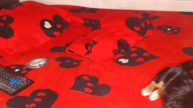 Image 12 of maskgirlx Stream on Chaturbate on 23 months ago