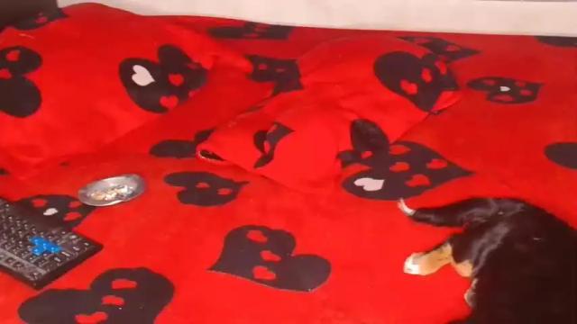 Thumbnail 3, maskgirlx's Stream at Chaturbate, 23 months ago