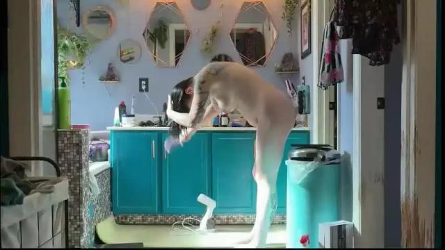 Thumbnail 3, matchingtracksuits's Stream at Chaturbate, 1 month ago