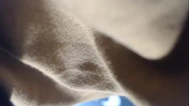 Image 2 of maxwellandpam Stream on Chaturbate on 29 days ago
