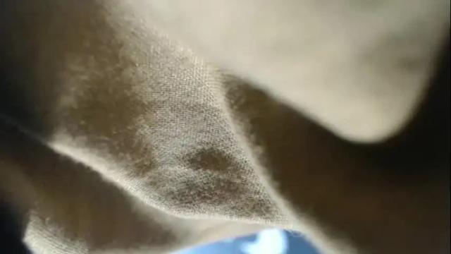 Image 3 of maxwellandpam Stream on Chaturbate on 29 days ago
