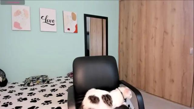 Thumbnail 3, maya__fox's Stream at Chaturbate, 18 months ago
