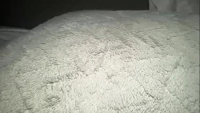 Image 8 of meetsouthernpeach Stream on Chaturbate on 2 months ago