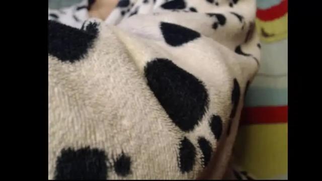 Image 2 of meg4nmiau Stream on Chaturbate on 25 days ago