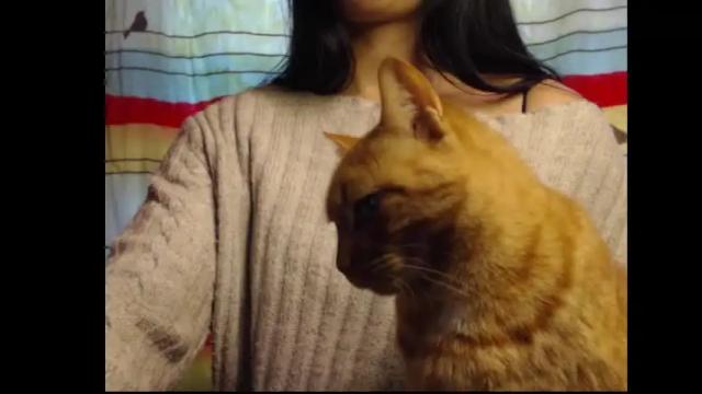 Image 10 of meg4nmiau Stream on Chaturbate on 3 days ago