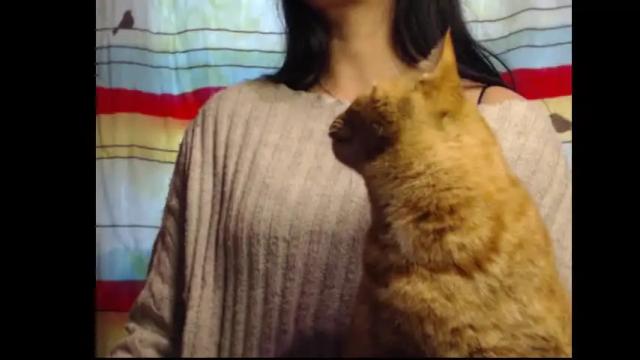 Thumbnail 3, meg4nmiau's Stream at Chaturbate, 1 day ago