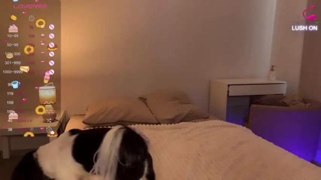 Image 11 of megan_nilson Stream on Chaturbate on 14 months ago
