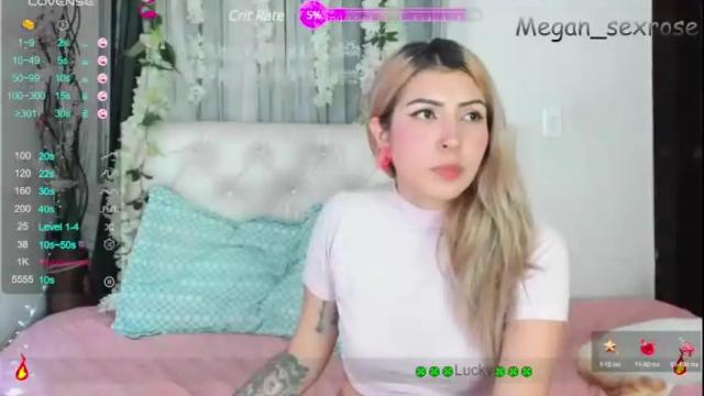 Image 4 of megan_sexrose Stream on Chaturbate on 13 months ago