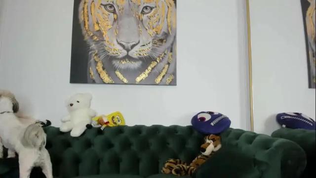 Image 2 of megpalmer Stream on Chaturbate on 3 months ago