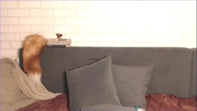 Thumbnail 3, mekyy_no_neko's Stream at Chaturbate, 2 months ago