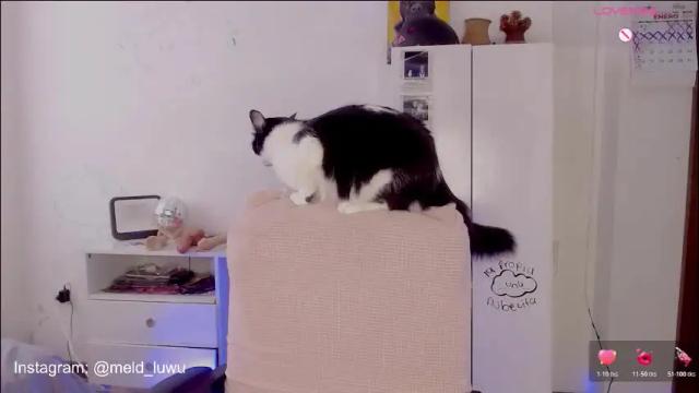 Thumbnail 1, mel_dahlia's Stream at Chaturbate, 1 day ago