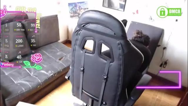 Image 12 of mel_raise Stream on Chaturbate on 2 months ago