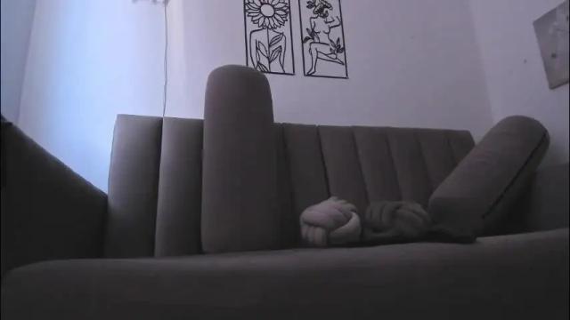 Image 2 of melani_greyy Stream on Chaturbate on 3 months ago