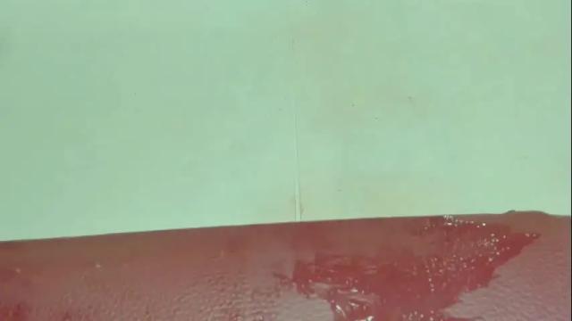 Image 4 of melania_browis Stream on Chaturbate on 13 days ago