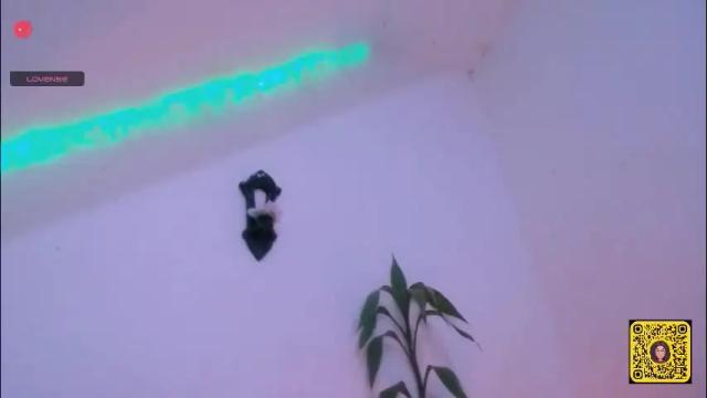 Image 4 of meliss1 Stream on Chaturbate on 1 month ago