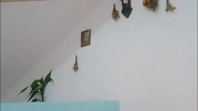 Image 3 of meliss1 Stream on Chaturbate on 2 months ago