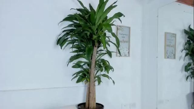 Image 11 of melissa_latingirl Stream on Chaturbate on 19 days ago