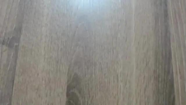 Image 7 of melody_adams12 Stream on Chaturbate on 13 months ago