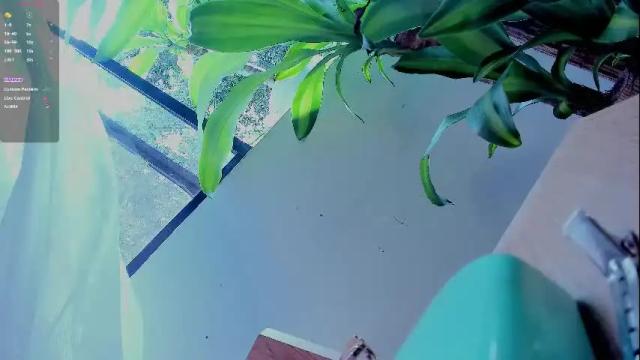 Thumbnail 2, melodypetitex's Stream at Chaturbate, 25 days ago