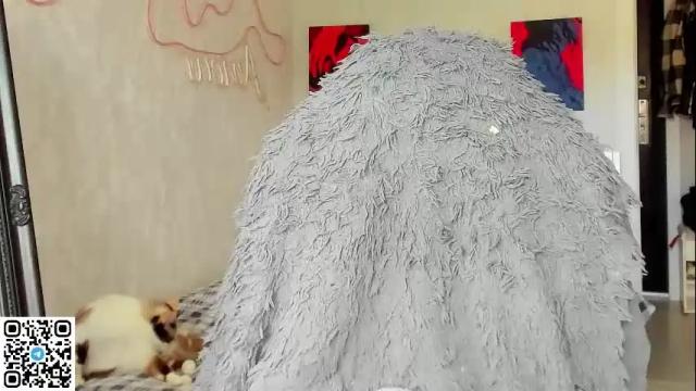 Image 12 of meow_moore Stream on Chaturbate on 1 month ago