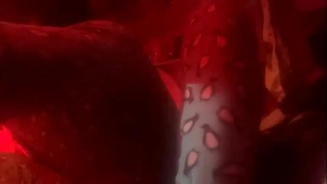 Thumbnail 3, merelyalover's Stream at Chaturbate, 29 days ago