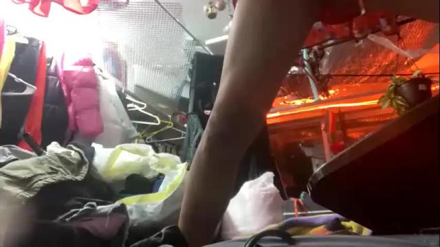 Image 2 of merelyalover Stream on Chaturbate on 25 days ago