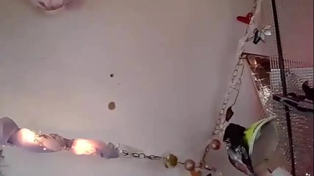 Thumbnail 1, merelyalover's Stream at Chaturbate, 8 days ago