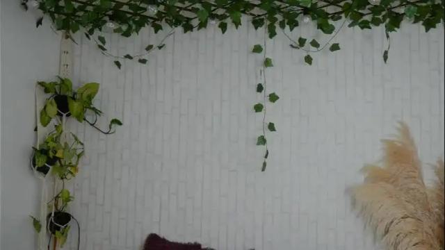 Image 11 of merida_bell18 Stream on Chaturbate on 1 month ago