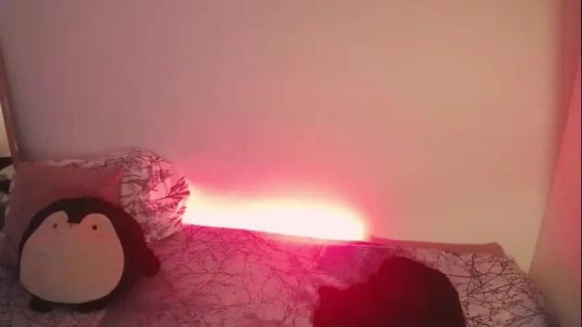 Image 7 of mia_112022 Stream on Chaturbate on 3 months ago