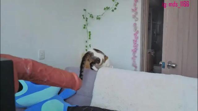 Thumbnail 1, mia_adams66's Stream at Chaturbate, 1 month ago