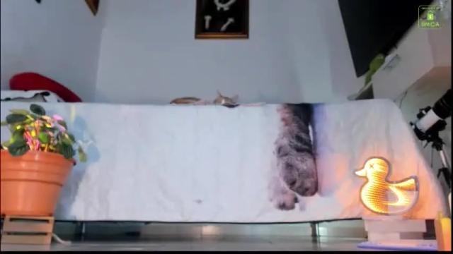 Image 4 of mia_starss Stream on Chaturbate on 1 day ago