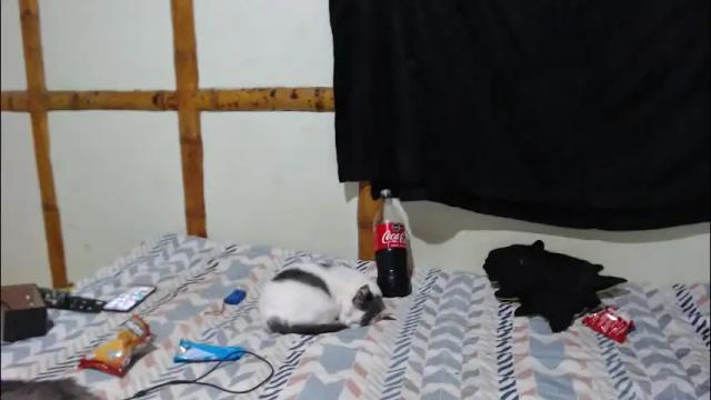 Image 8 of miahells Stream on Chaturbate on 2 months ago