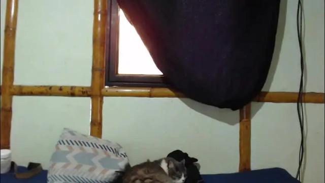 Thumbnail 1, miahells's Stream at Chaturbate, 2 months ago