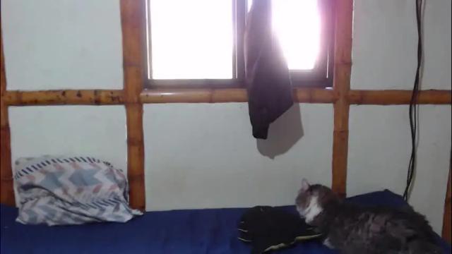 Thumbnail 2, miahells's Stream at Chaturbate, 2 months ago