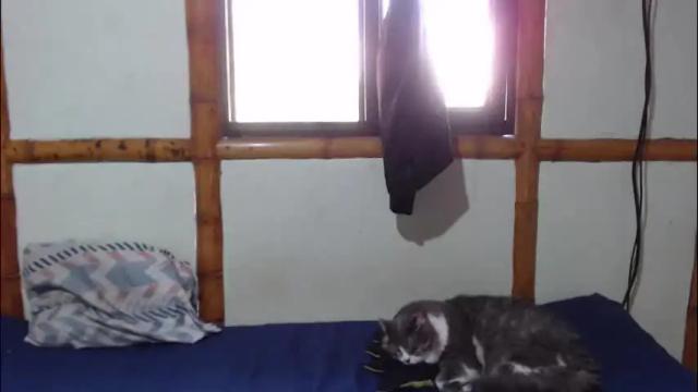 Image 7 of miahells Stream on Chaturbate on 2 months ago