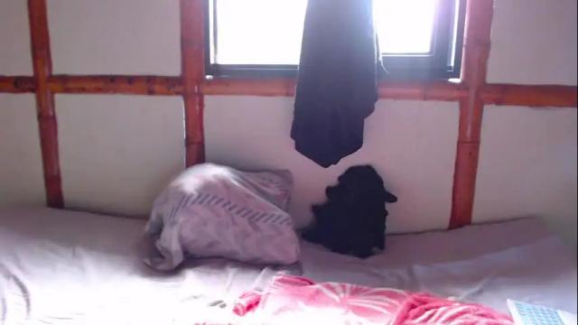 Thumbnail 1, miahells's Stream at Chaturbate, 1 month ago