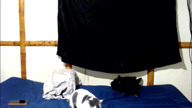 Image 11 of miahells Stream on Chaturbate on 5 days ago