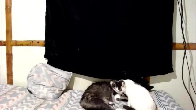 Image 3 of miahells Stream on Chaturbate on 12 days ago