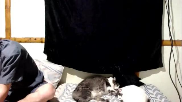 Image 6 of miahells Stream on Chaturbate on 12 days ago