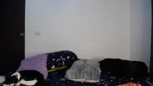 Image 4 of miamoon_ Stream on Chaturbate on 1 month ago