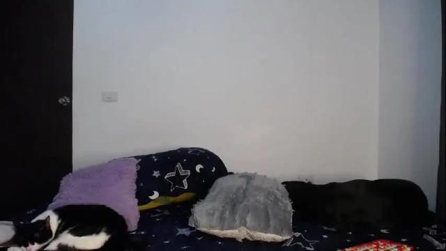 Thumbnail 2, miamoon_'s Stream at Chaturbate, 1 month ago