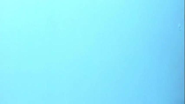 Image 7 of miaquevedo Stream on Chaturbate on 1 month ago