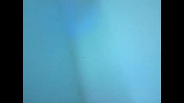 Thumbnail 1, mica_cute's Stream at Chaturbate, 15 months ago
