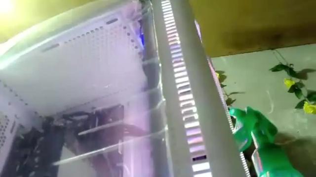 Image 6 of michaeltagocon Stream on Chaturbate on 23 months ago