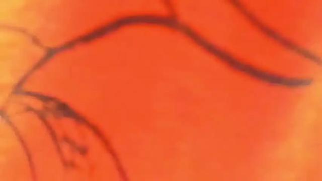 Image 8 of michelle_danielss Stream on Chaturbate on 19 months ago