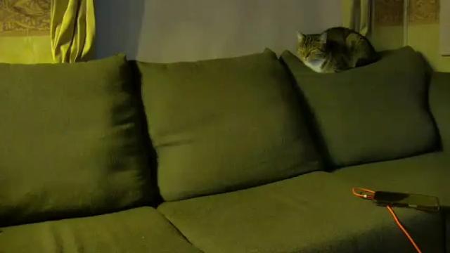 Image 10 of mickeyshyne69 Stream on Chaturbate on 4 months ago