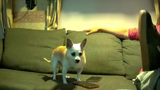 Image 10 of mickeyshyne69 Stream on Chaturbate on 4 months ago