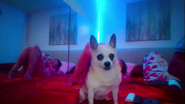 Image 11 of mickeyshyne69 Stream on Chaturbate on 3 months ago