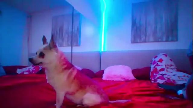 Image 8 of mickeyshyne69 Stream on Chaturbate on 3 months ago