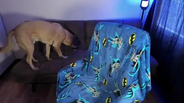 Image 10 of midnight07_ Stream on Chaturbate on 2 months ago